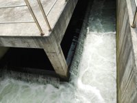 抗生素高COD廢水的危害
