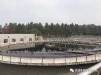 造紙廢水生化后水質發黑發臭是怎么回事