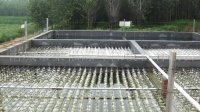 養(yǎng)殖廢水COD如何處理