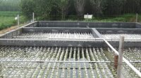 屠宰廢水COD濃度高怎么辦