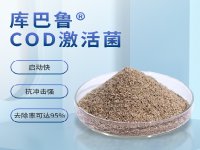 COD超標為什么首選投加微生物菌劑
