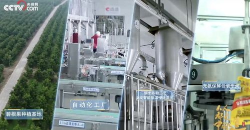 洽洽食品2022年三季度凈利潤達6.27億元，同比增長5.45%，技術(shù)服務成新增長點