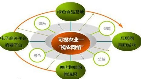 解析VIE結(jié)構(gòu) 網(wǎng)絡(luò)技術(shù)服務(wù)中的特殊架構(gòu)
