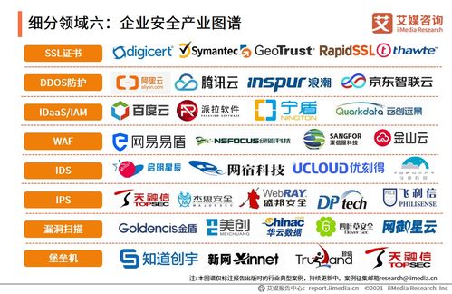 2021上半年中國企業服務專題研究報告 企業管理信息咨詢服務的現狀與展望